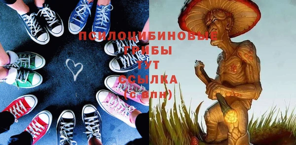 бошки Мегион