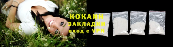 бошки Мегион