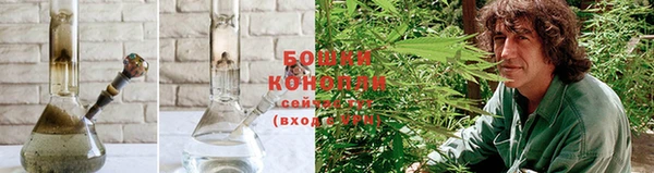 бошки Мегион