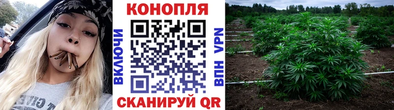 Бошки Шишки индика  darknet телеграм  Туран  купить наркотики цена 